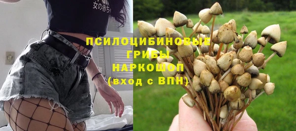 ECSTASY Армянск