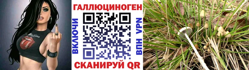 наркошоп  Мантурово  Галлюциногенные грибы Cubensis 